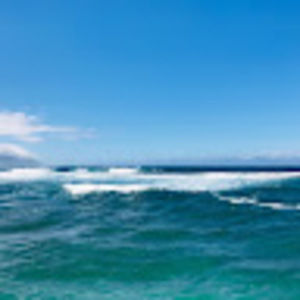 Meet your Posher, Philana